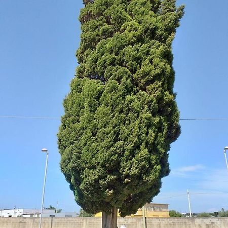 L'Albero Bello Holiday Mazara del Vallo Exterior foto